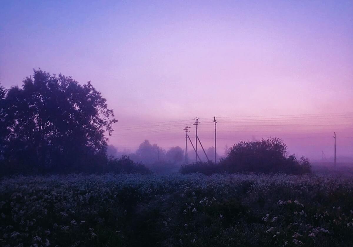 九游娱乐app-JDG春游Vlog:春光明媚适宜遛弯聊天,更适宜草丛蹲人